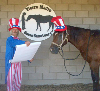 tierra madre patriot dayz